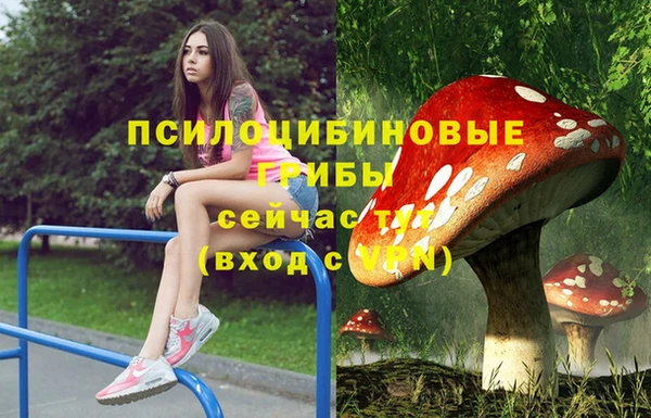 стафф Алексеевка