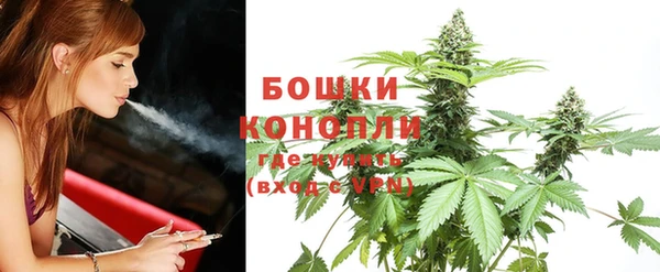 PSILOCYBIN Алексин