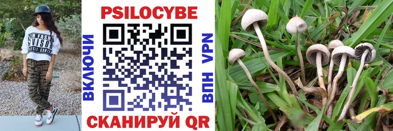 наркота  Тара  Галлюциногенные грибы MAGIC MUSHROOMS 